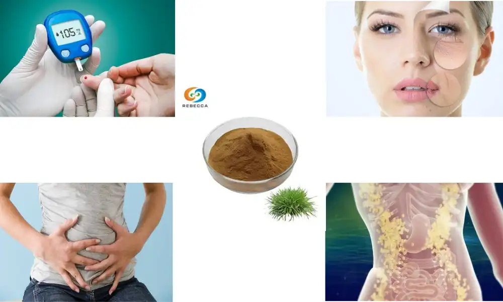 Does horsetail cause weight gain?